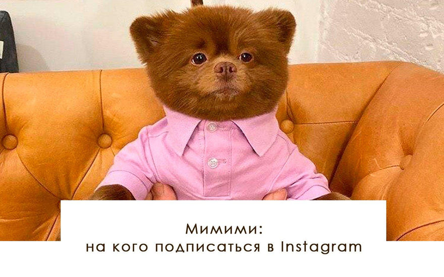 Мимими: на кого подписаться в Instagram - yesUndress