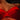 Bras