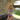 Titaniya Violet high waisted bikini bottom - yesUndress