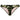 Military bikini bottom - yesUndress